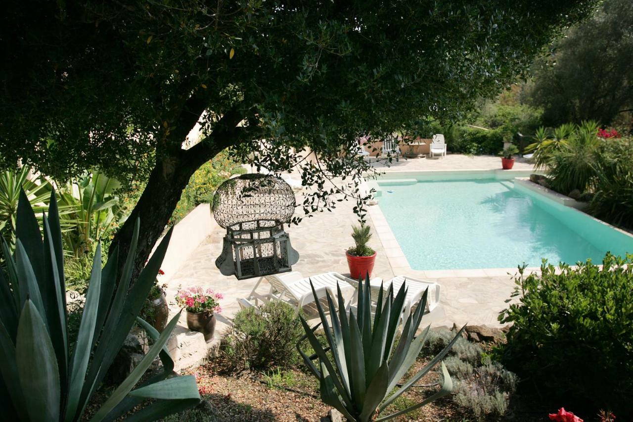 Villa Mimosa Favone Exterior photo