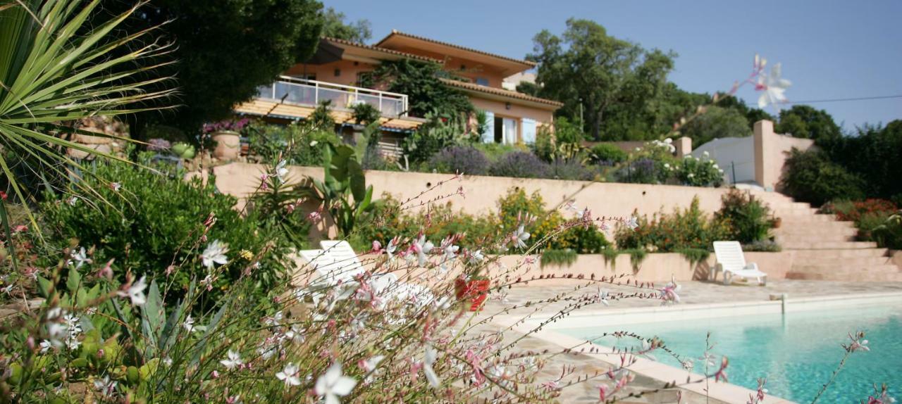 Villa Mimosa Favone Exterior photo