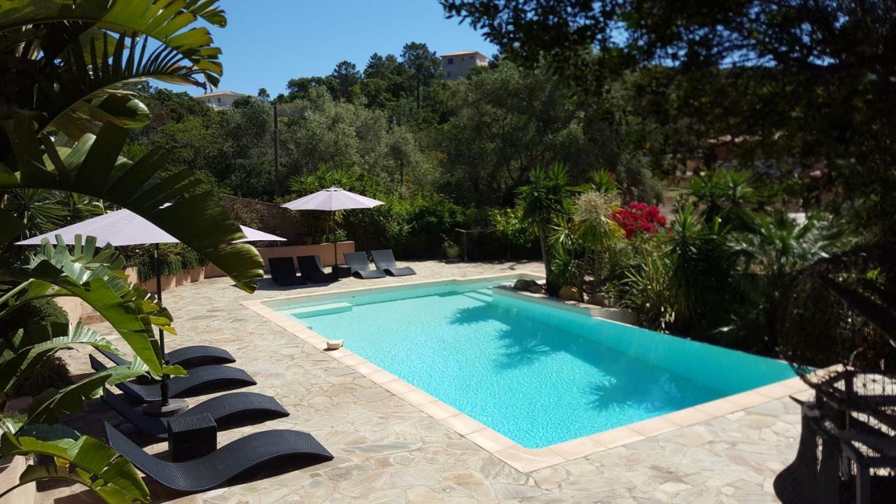 Villa Mimosa Favone Exterior photo