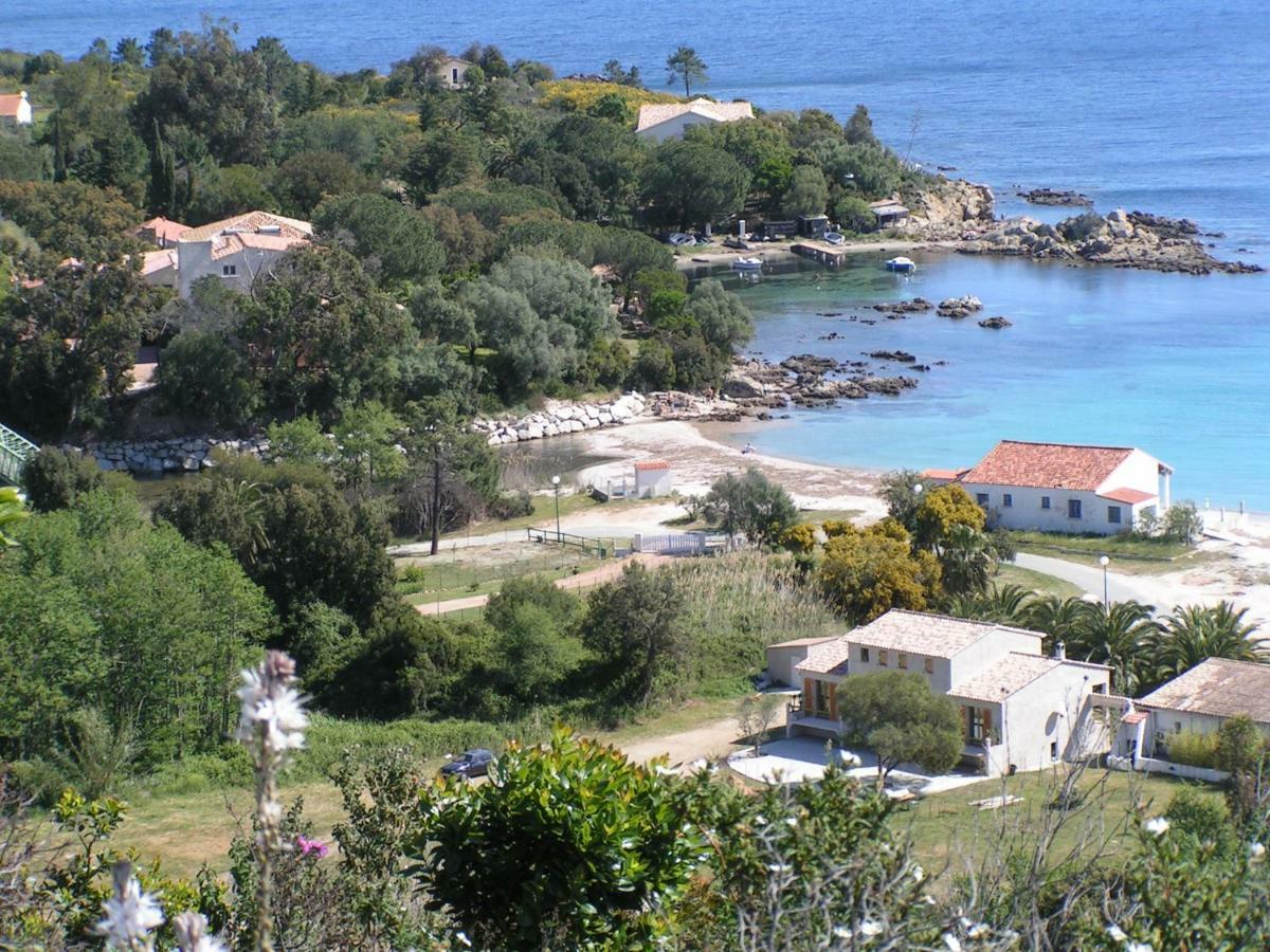 Villa Mimosa Favone Exterior photo