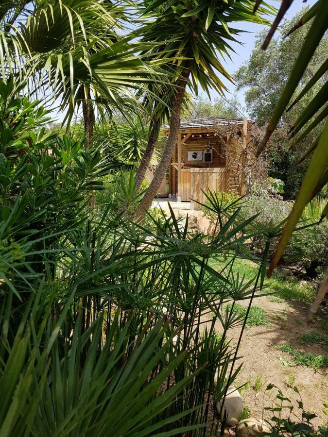 Villa Mimosa Favone Exterior photo