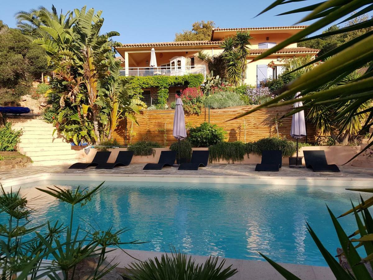 Villa Mimosa Favone Exterior photo
